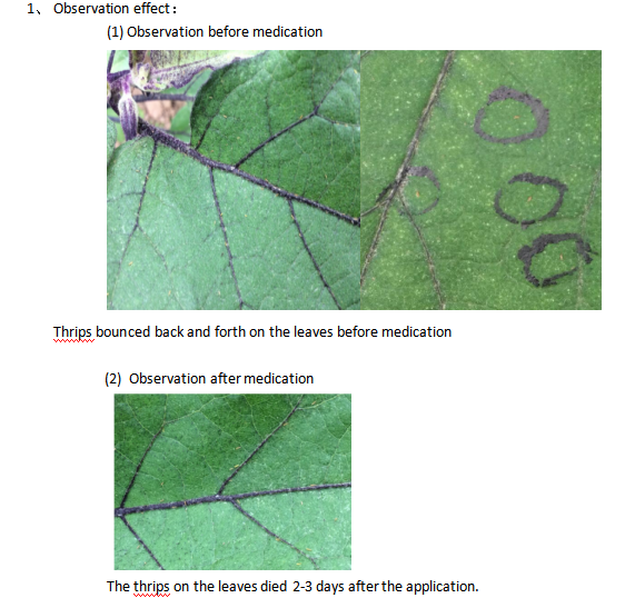 TEST REPORT OF HD-812 Thrips adjuvant